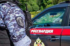 Столичные росгвардейцы задержали гражданина скрывавшегося от правосудия