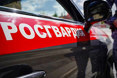 Столичные росгвардейцы задержали подозреваемого в краже